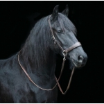 Edix ED2 Grace Sidepull Bridle